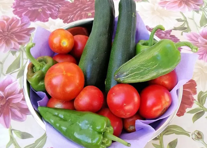 Violeta Apartament *