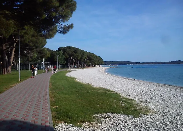 Apartament Violeta *