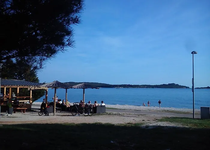 Apartament Violeta *