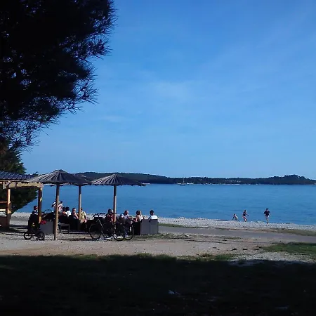 Apartament Violeta *